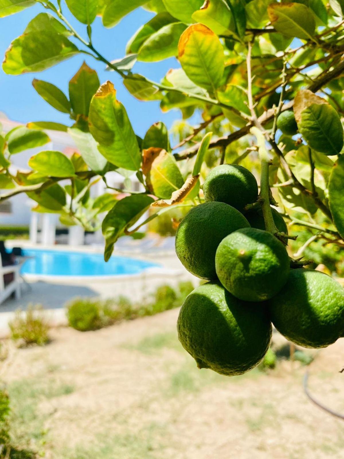 Hurghada-Magawish Villa 1 Εξωτερικό φωτογραφία